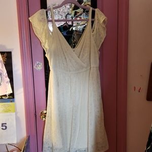 Ivory lace skater dreas